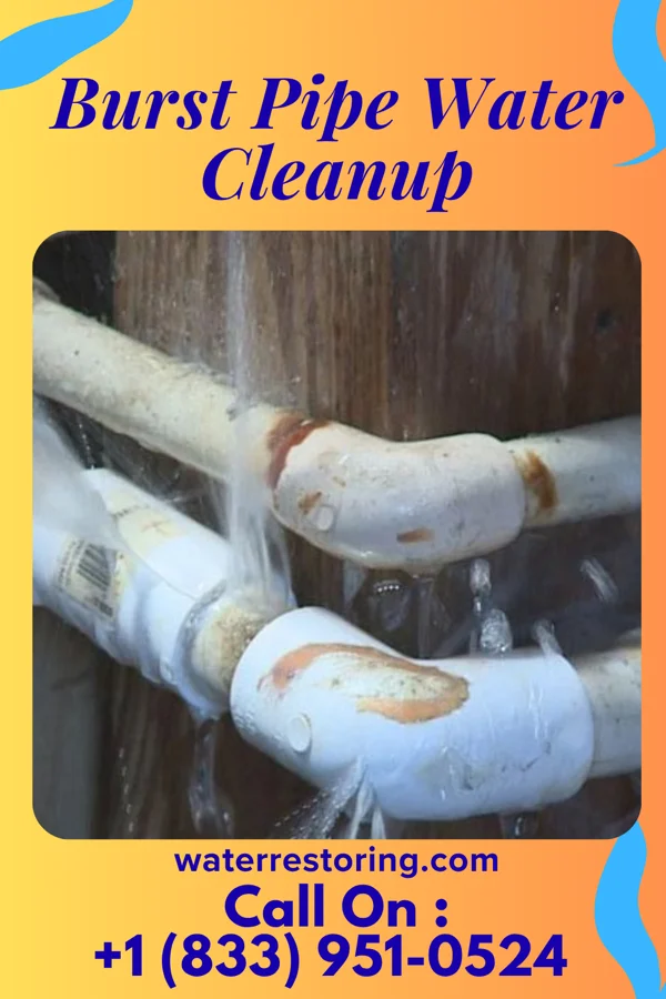 Burst Pipe Water Cleanup in Millville, NJ