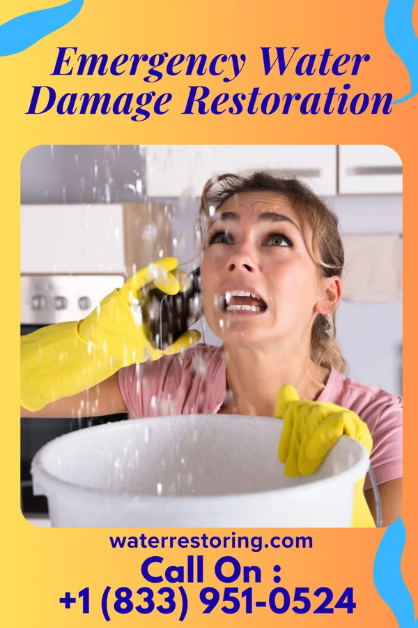 Emergency Water Damage Restoration in Millville, NJ