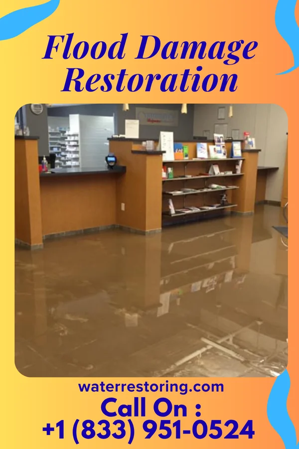 Flood Damage Restoration in Millville, NJ