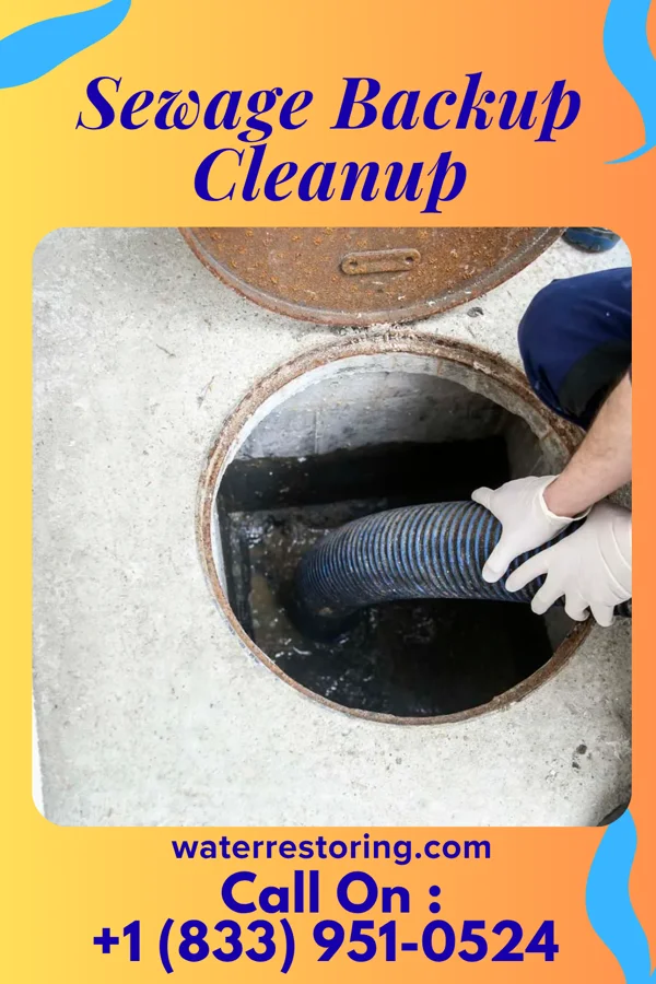 Sewage Backup Cleanup in Millville, NJ