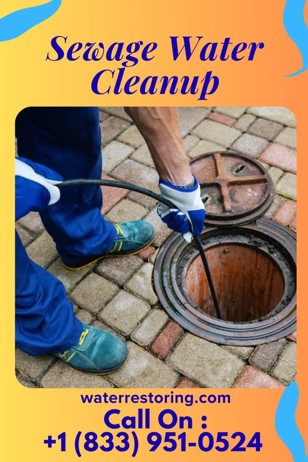 Sewage Water Cleanup in Millville, NJ