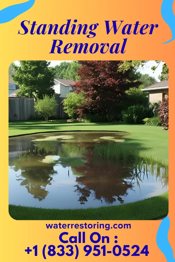Standing Water Removal in Millville, NJ